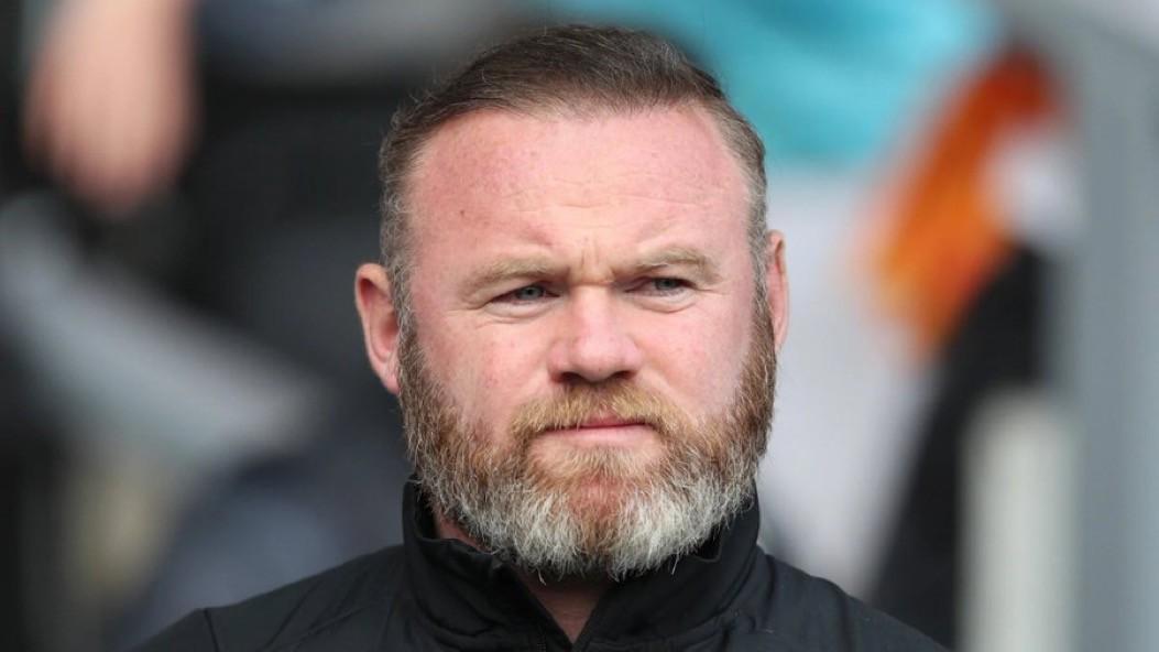 森林之间的, 衣的照片